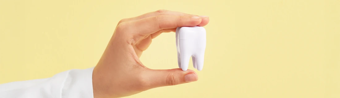 About Our Natick MA Dental Office